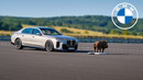 BMW Safety Features DEMONSTRATION
