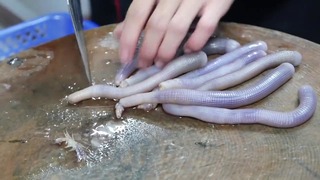 Китайская уличная еда ‘‘ЧжунГо ЦзеТоу ШиПинь’’ Песочный червь Сипункулида