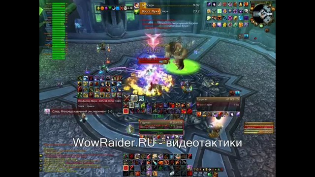 Тактика на Профессора Мерзоцида, WowRaider.Ru