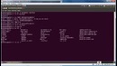 Linux – Первые шаги в консоли (Урок 2)