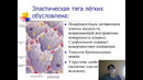 Unit 47 Физиология дыхания