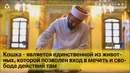 8 Августа Всемирный день кошек – Кошки в Исламе