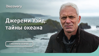 Что там под водой? | Джереми Уэйд: тайны океана | Discovery