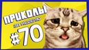 Приколы за неделю #70 | ПОТРАЧЕНО