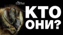 Пчёлы – что мы о них знаем топ удивительных фактов крамола
