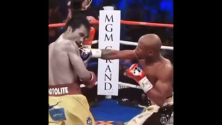 А ведь когда-то состоялся и такой бой: Мейвезер против Пакьяо #boxing #бокс #мейвезер #пакьяо