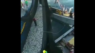 Тандем на рыбалке