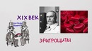 Чем отличаются группы крови — Научпок