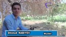 Baxtli odamlar – teleradio.uz