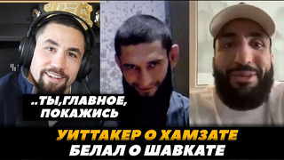 «Я сам вызвал Хамзата» Роберт Уиттакер о бое с Чимаевым / Белал о Шавкате | FightSpaceMMA