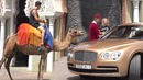 ВЕРБЛЮД vs. БЕНТЛИ (На что поведётся девушка)