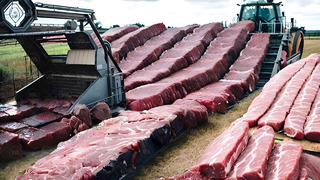 Как Нидерланды Производят Тонны Мяса, но при Это Не Убивают Животных