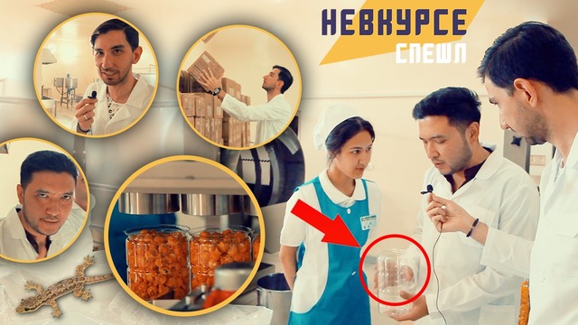 Невкурсе Спешл – Ящерица в американском попкорне