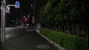 Япония. Чем стоит заниматься в жизни