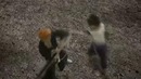 Ichigo vs saske (fan mod)