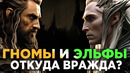 Почему ЭЛЬФЫ и ГНОМЫ НЕНАВИДЕЛИ Друг Друга? (Властелин Колец / Хоббит)