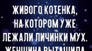 Котенка уже ели мухи, но щенок спас ему жизнь