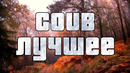 COUB ЛУЧШЕЕ – 14 НОЯБРЯ 2019 / коуб подборка