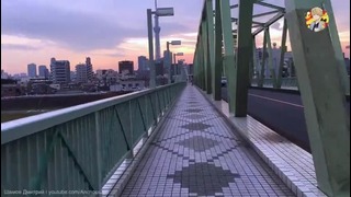 Один день в Японии. Осенний Токио через объектив телефона