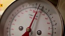 10 Тревожных Сигналов о Том, Что в Печени Полно Токсинов