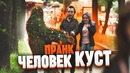 Человек куст напугал прохожих ПРАНК Подстава – проверка пранков vjobivay