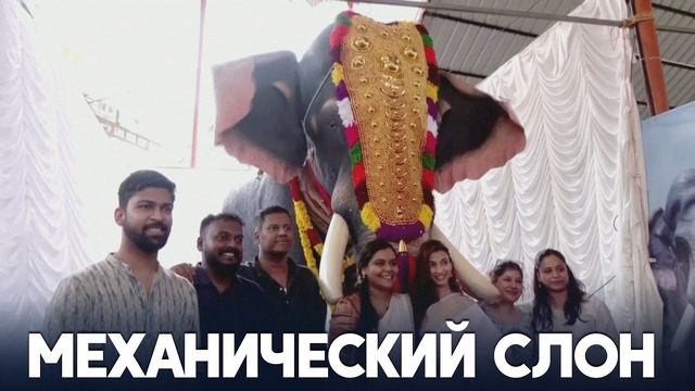 Храм в Индии обзавёлся слоном-роботом