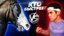 Топлес. Кто быстрей: человек или лошадь