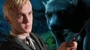 Драко Малфой Стал Оборотнем, Новая книга о Гарри Поттере (by Кисимяка)