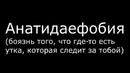 ТС- #10 Страхи и Фобии