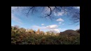 Взгляд GoPro на жизнь cо стороны белочки