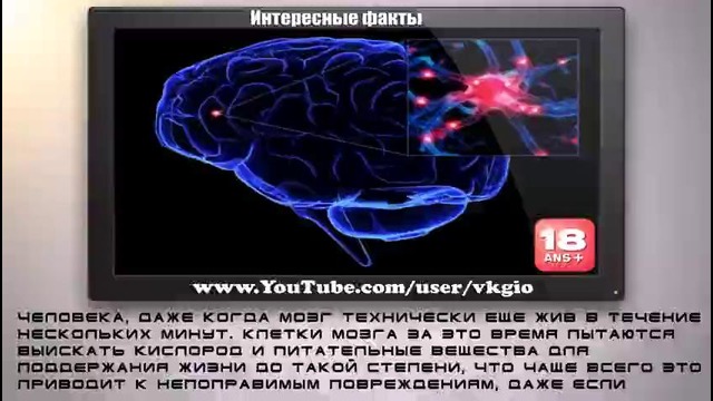 8 Функций Тела, Которые Продолжают Работать После Смерти – Интересные Факты