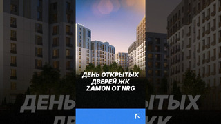 Дверь открытых дверей ЖК ZAMON от NRG