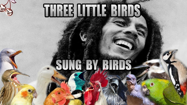 Bob Marley – Three Little Birds but it sung by birds only