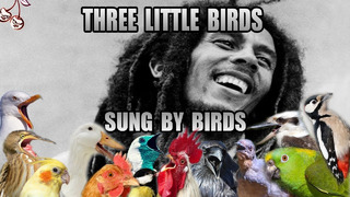 Bob Marley – Three Little Birds but it sung by birds only