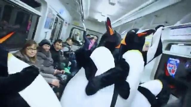 Пингвины в метро (очень крутое видео)