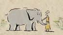Ted ed – Почему слоны ничего не забывают