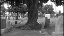 Dead Man’s Bones (Dance)