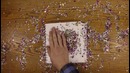 Добро пожаловать в чудесный мир