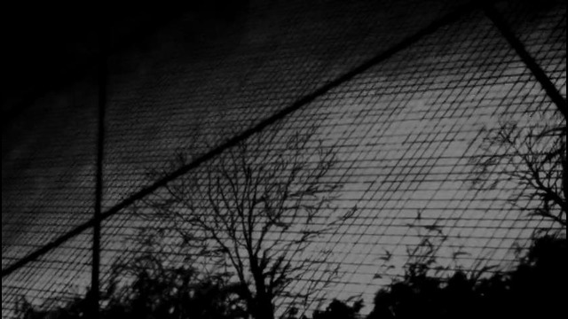 HedgeProduction – America