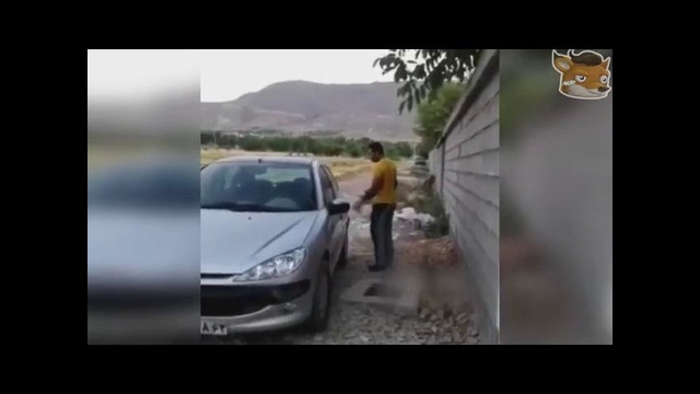 Лучшие приколы #31 лучшая подборка приколов топовые приколы