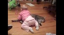 Funny baby and cat