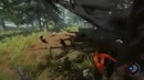 The Forest – Психоз, Вороны и тд (Обнова 0.29)