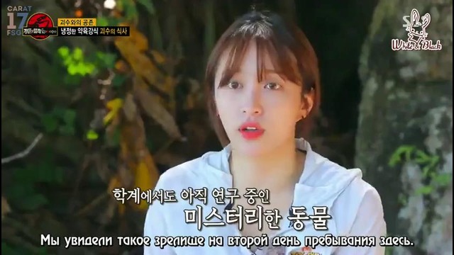 Law of the Jungle in Komodo (SEVENTEEN, EXID) – Ep.277 [рус. саб] (4)