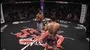 Эффектные нокауты в MMA