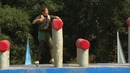 Wipeout
