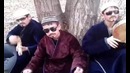 Трио с вениками