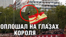 Парашютист врезался в столб