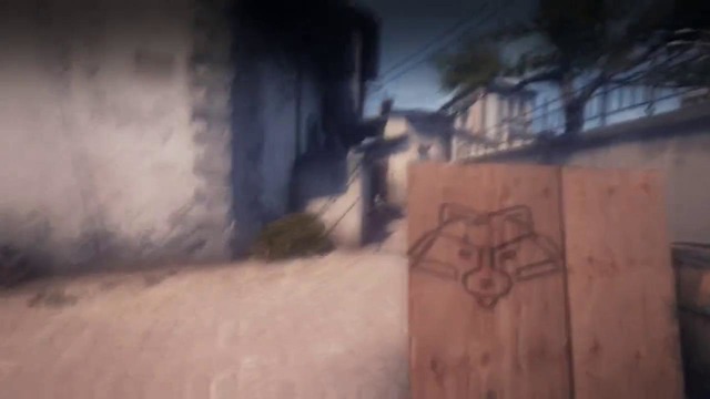 Csgo#1 ardent raccoon by #experience1337