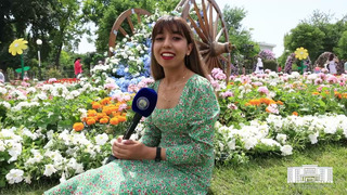 Tashkent Flower fest 2022