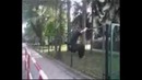 Parkour – Fatality